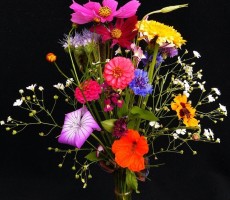 birthday bouquet 1559029