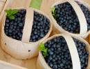 blueberries 1561653