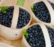 blueberries 1561653