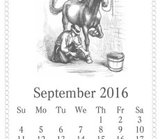 calendar 1558620