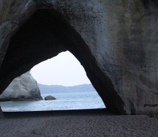 cathedral cove 1581513