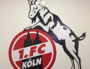 fc cologne 1559343