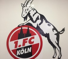 fc cologne 1559343