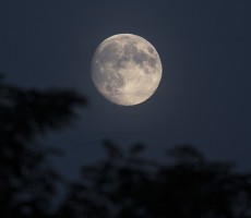 full moon 1555454