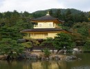 kinkakuji 1581548