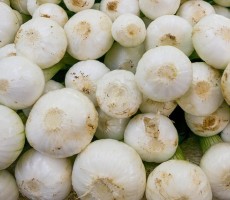 onions 1558656