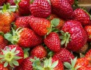 strawberries 1558660